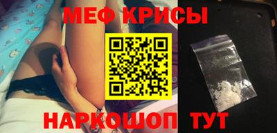 спайс Кингисепп
