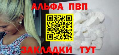 спайс Кингисепп