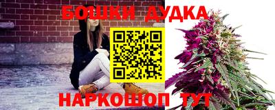 спайс Кингисепп