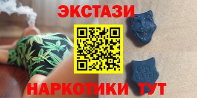 спайс Кингисепп
