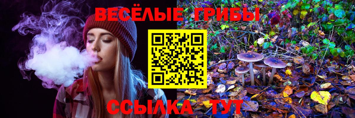 Кувандык  Псилоцибиновые грибы мухоморы  Псилоцибиновые грибы Cubensis  где найти   Вход с VPN 